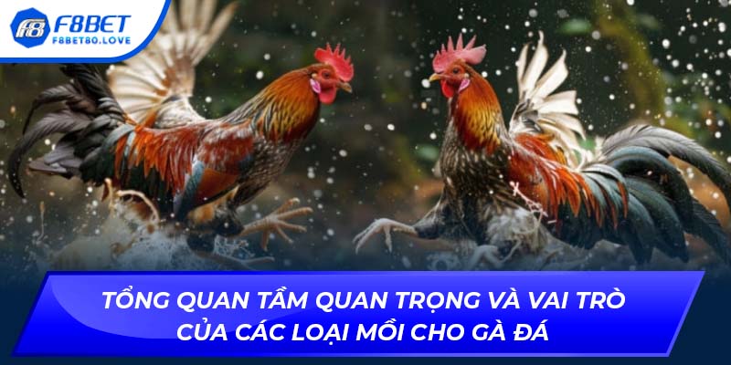 Tổng quan tầm quan trọng và vai trò của các loại mồi cho gà đá